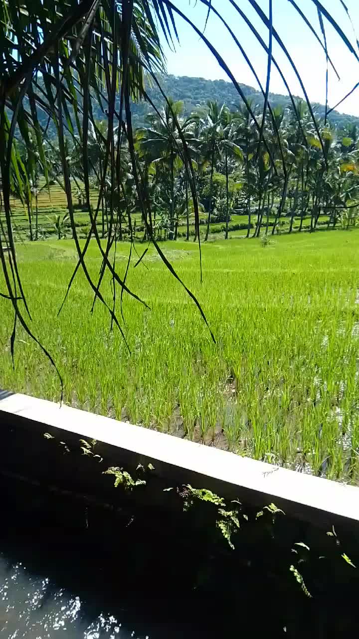 @Madhi Yo Madhi