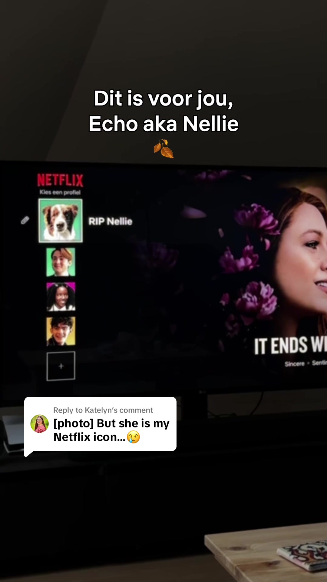 @netflixbelgie
