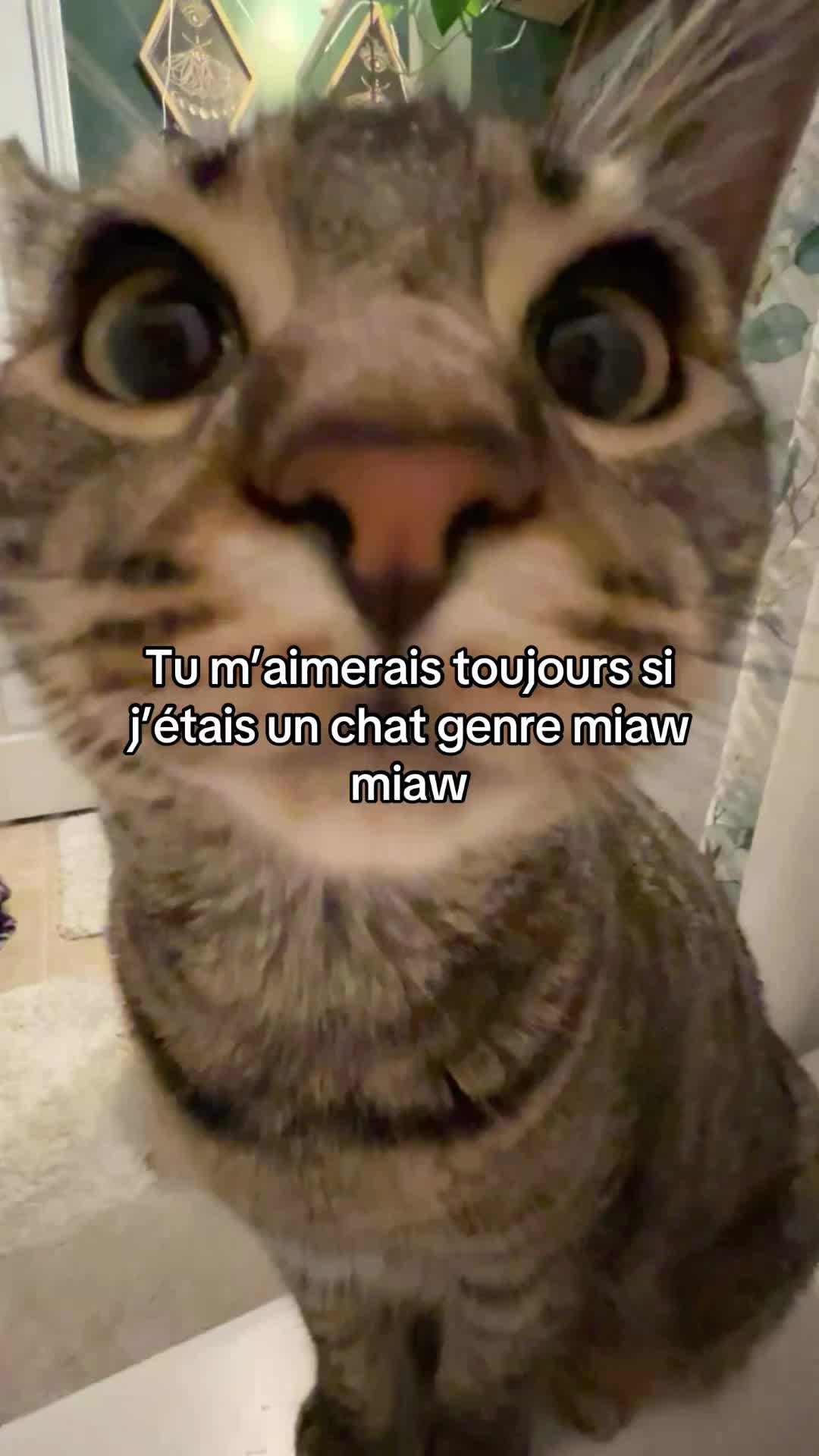@Maëlys🥥❄️