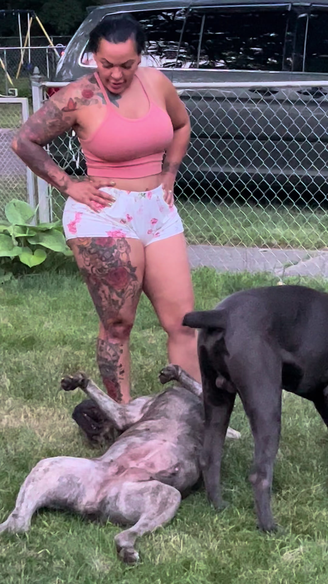 @Alpha Z Kennels