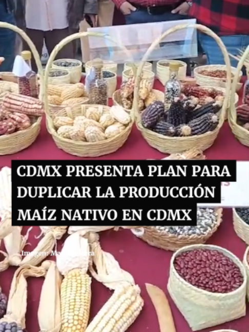 @Periódico Excélsior