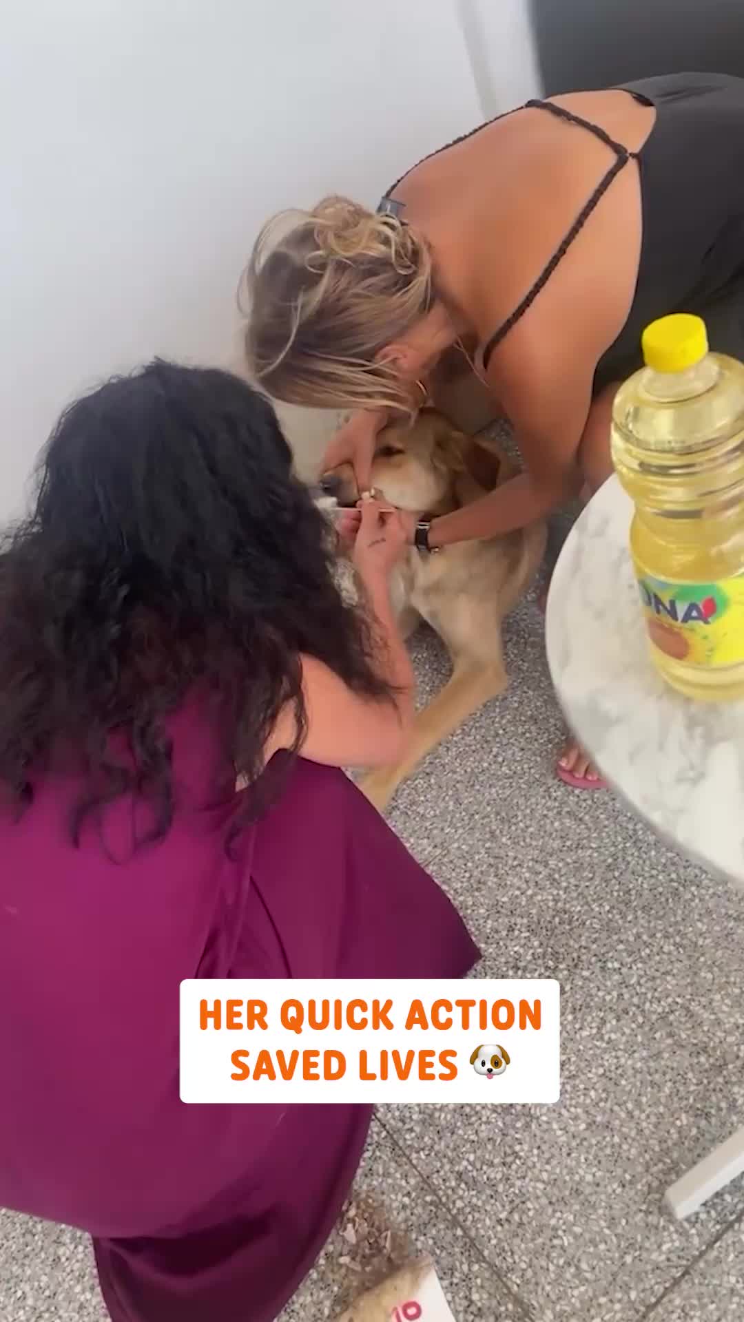 @Pawsome Pets