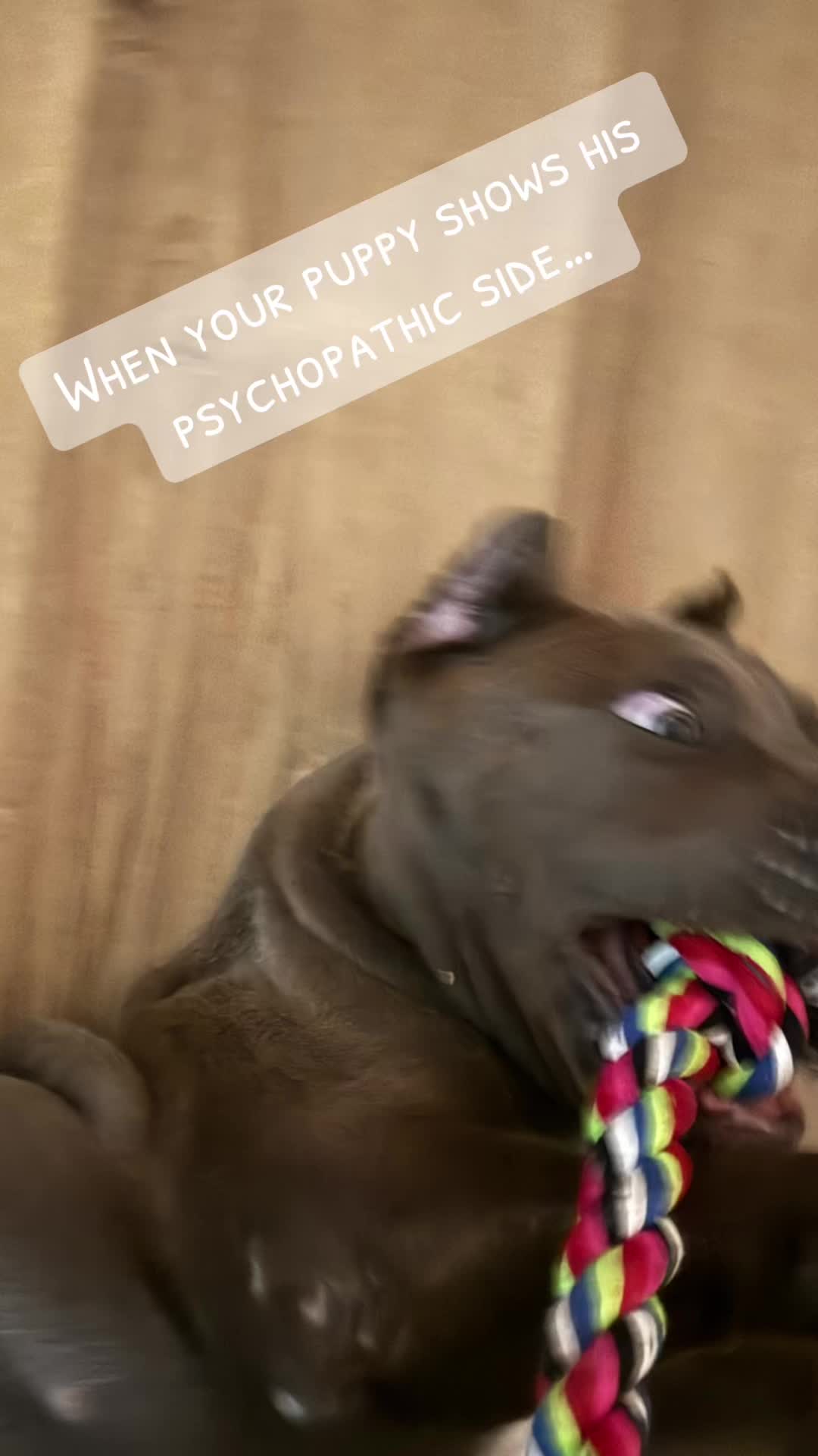 @ScoobysKitchen