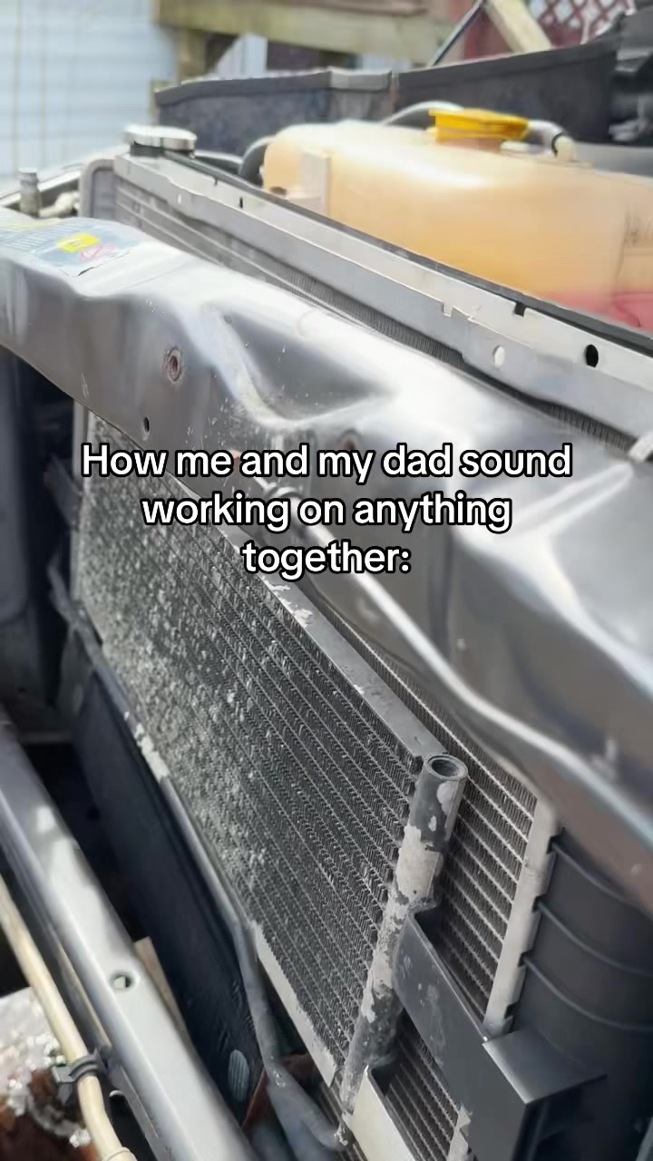 @Xander