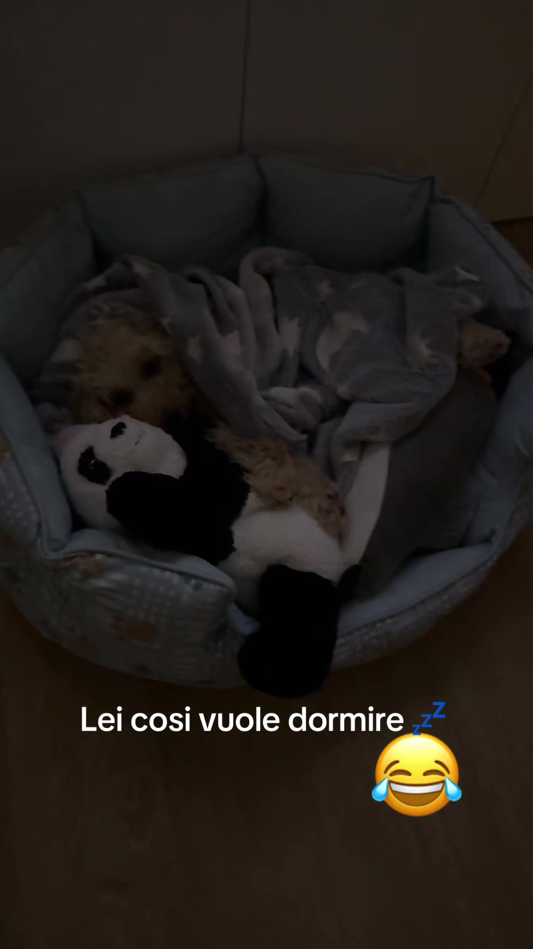 @❤️Antonella❤️