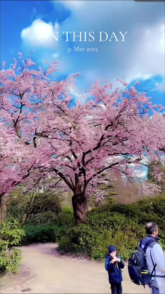 @mandeepcheema89