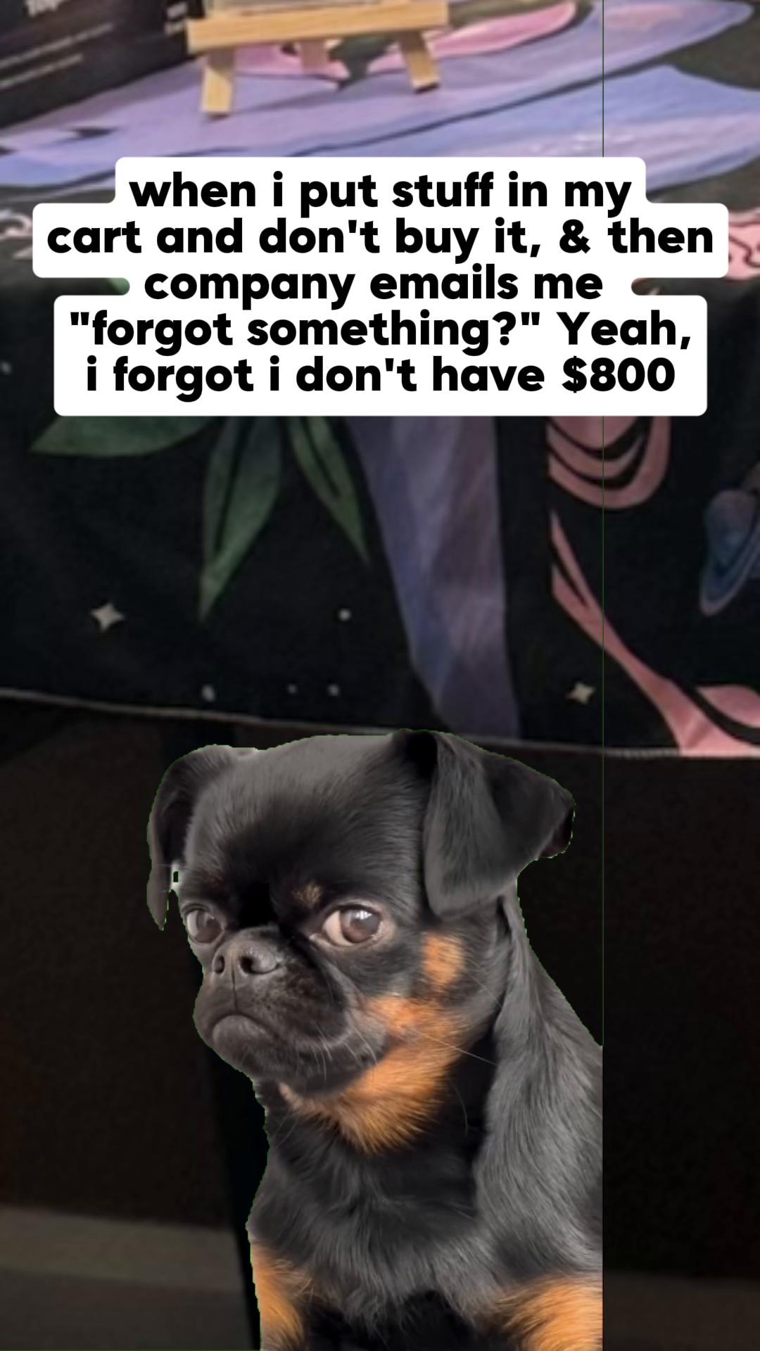 @🫶🏼𝕂𝕚𝕂𝕚🫶🏼