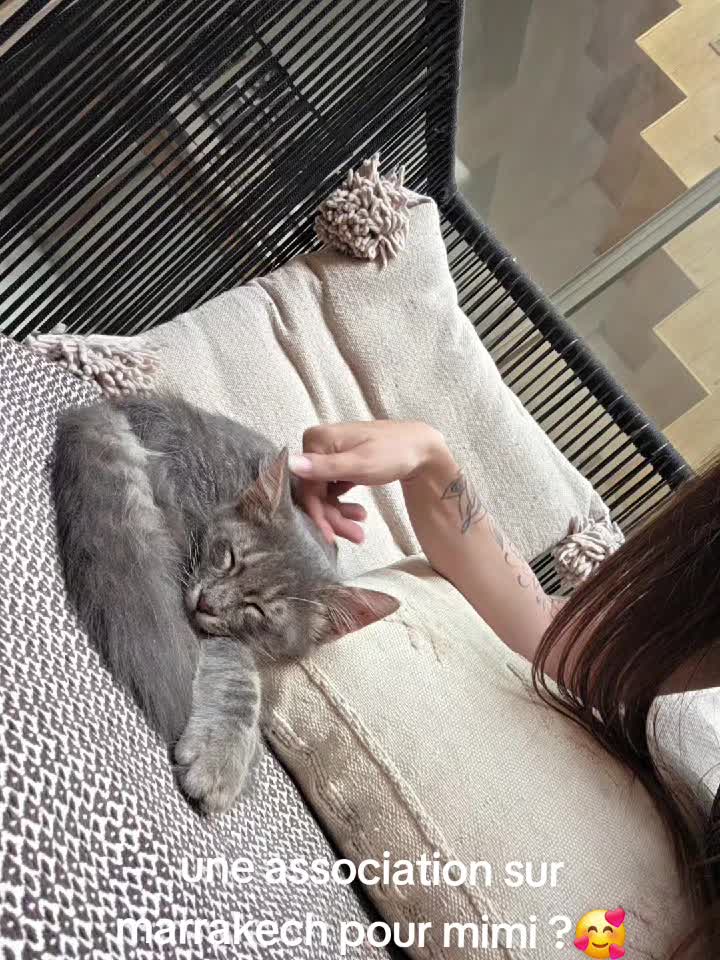 @Madame_M