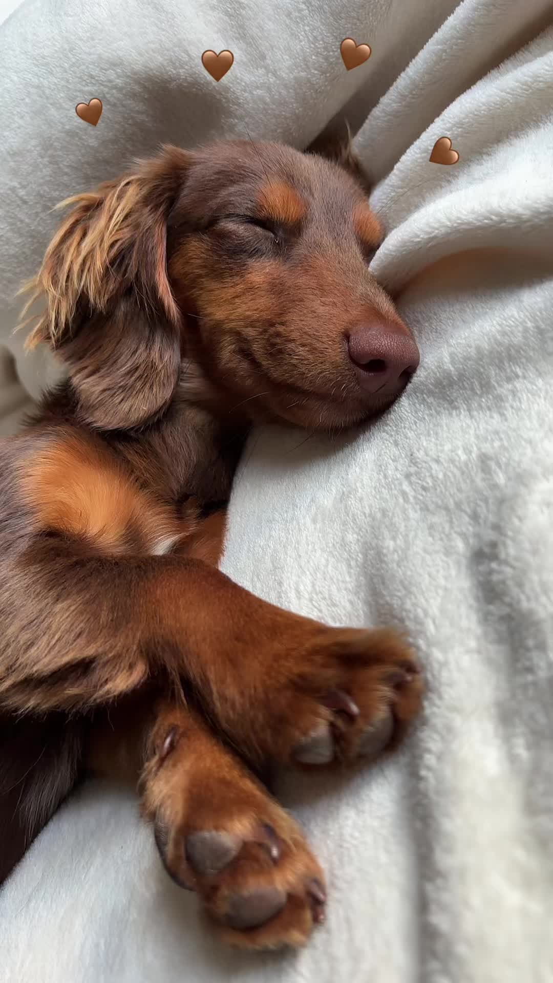 @nala