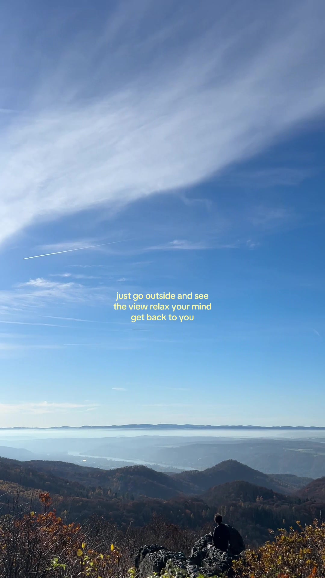 @Luisa
