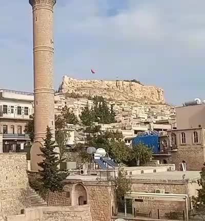 @Hayam
