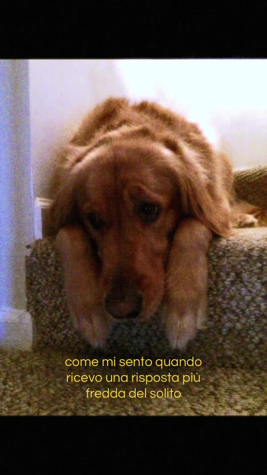 @𝓵𝓲𝓿𝓲𝓪