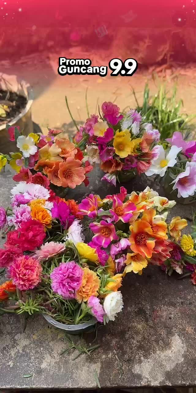 @Xeema_Nursery