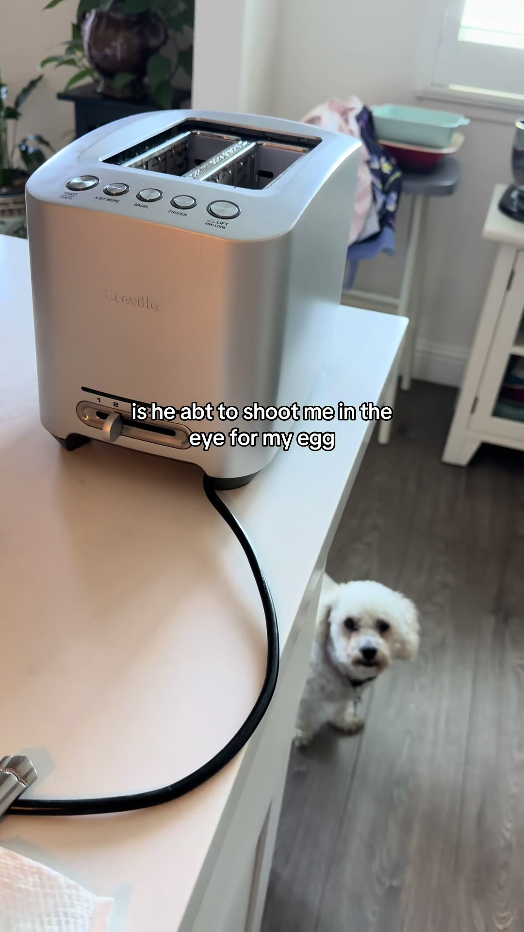 @yas