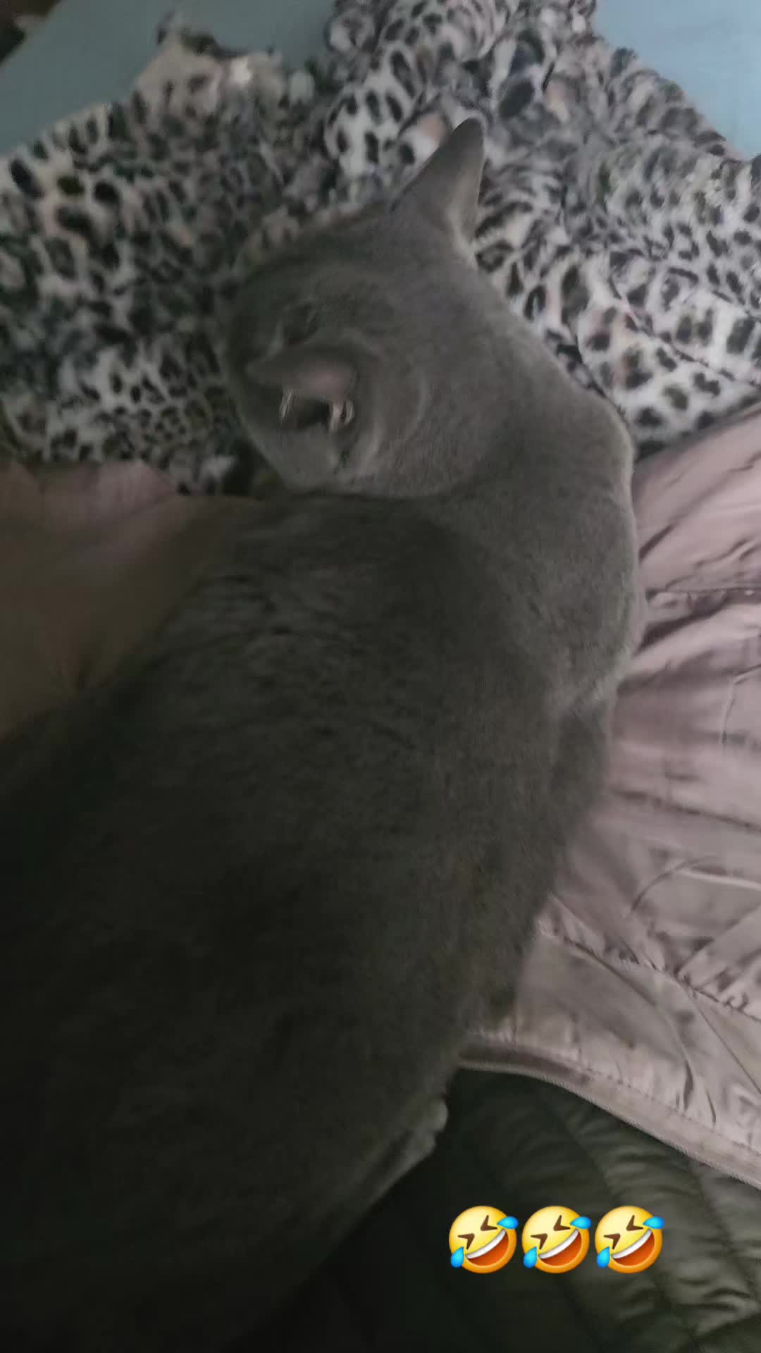 @❤Milli 🥰😍💓💖