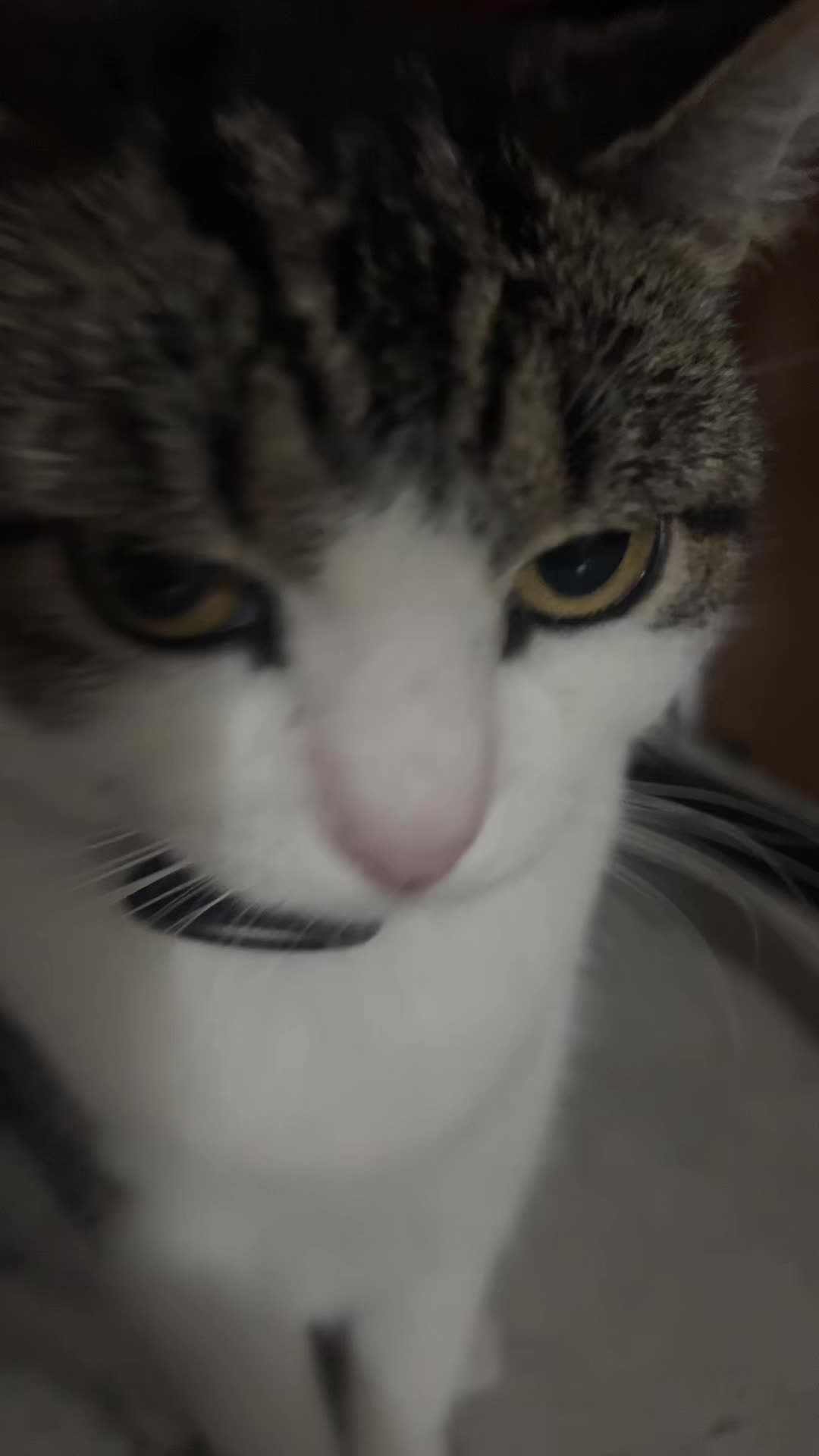 @𝓣𝓸𝔁𝓲𝓬_𝓐𝓷𝓰3𝓵