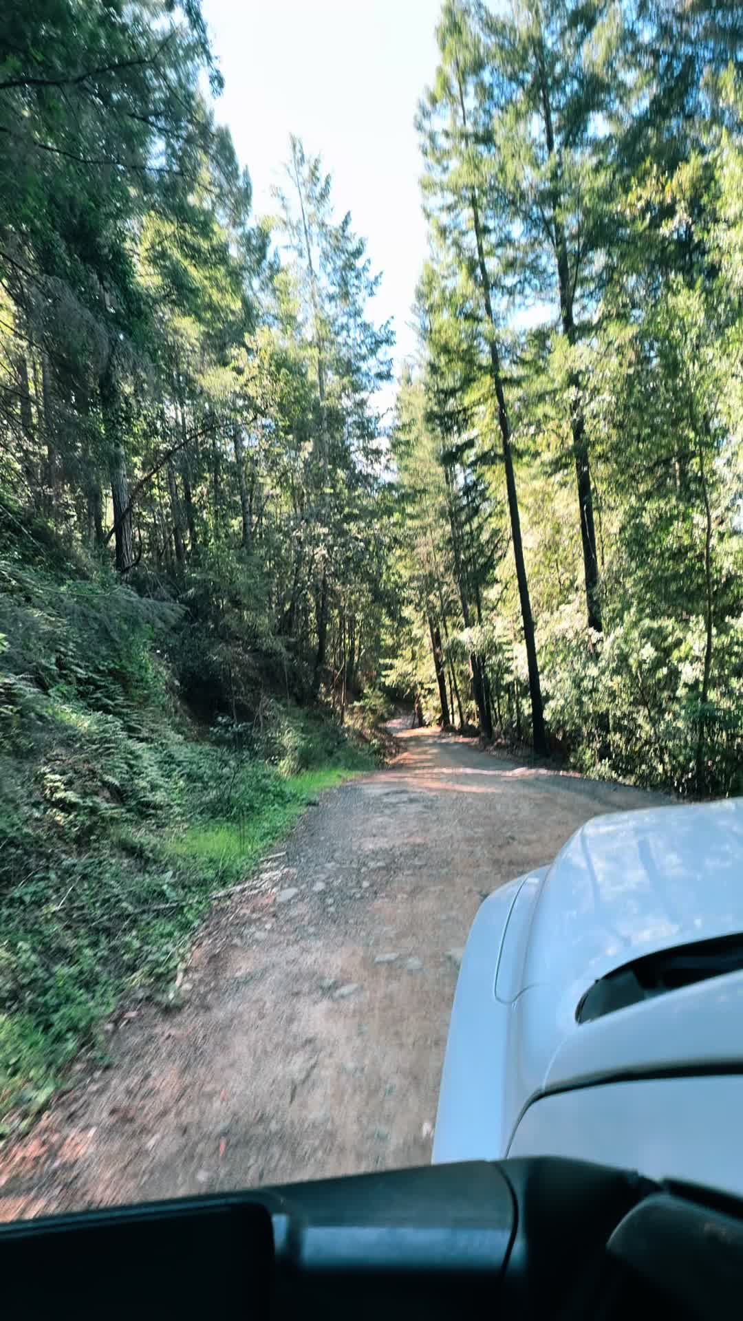 @ojeda_transport