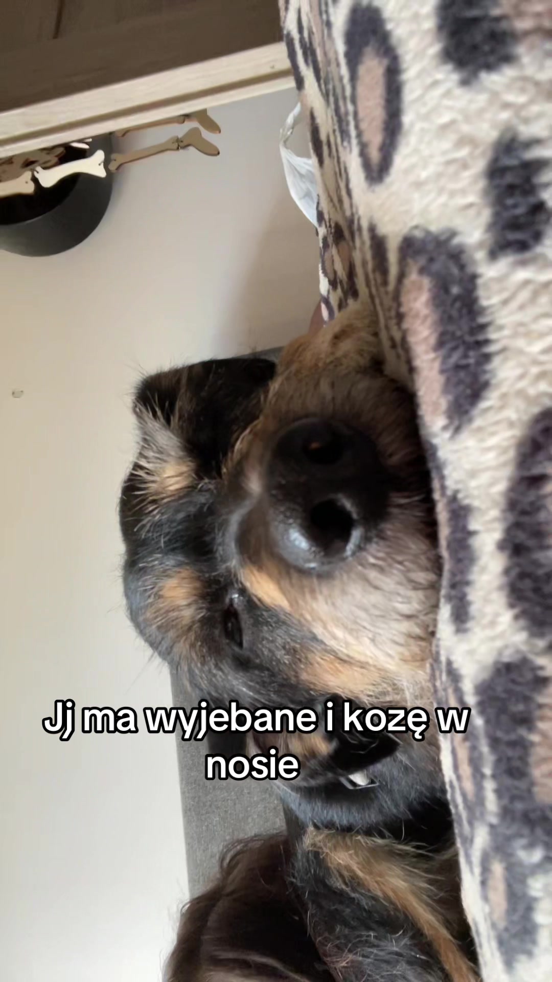 @siur