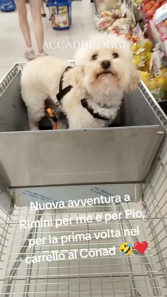 @🌹Annaré89🌹
