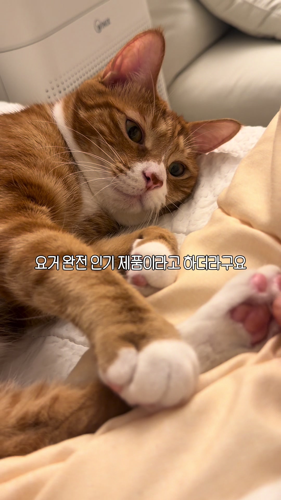 @뮤춘삼