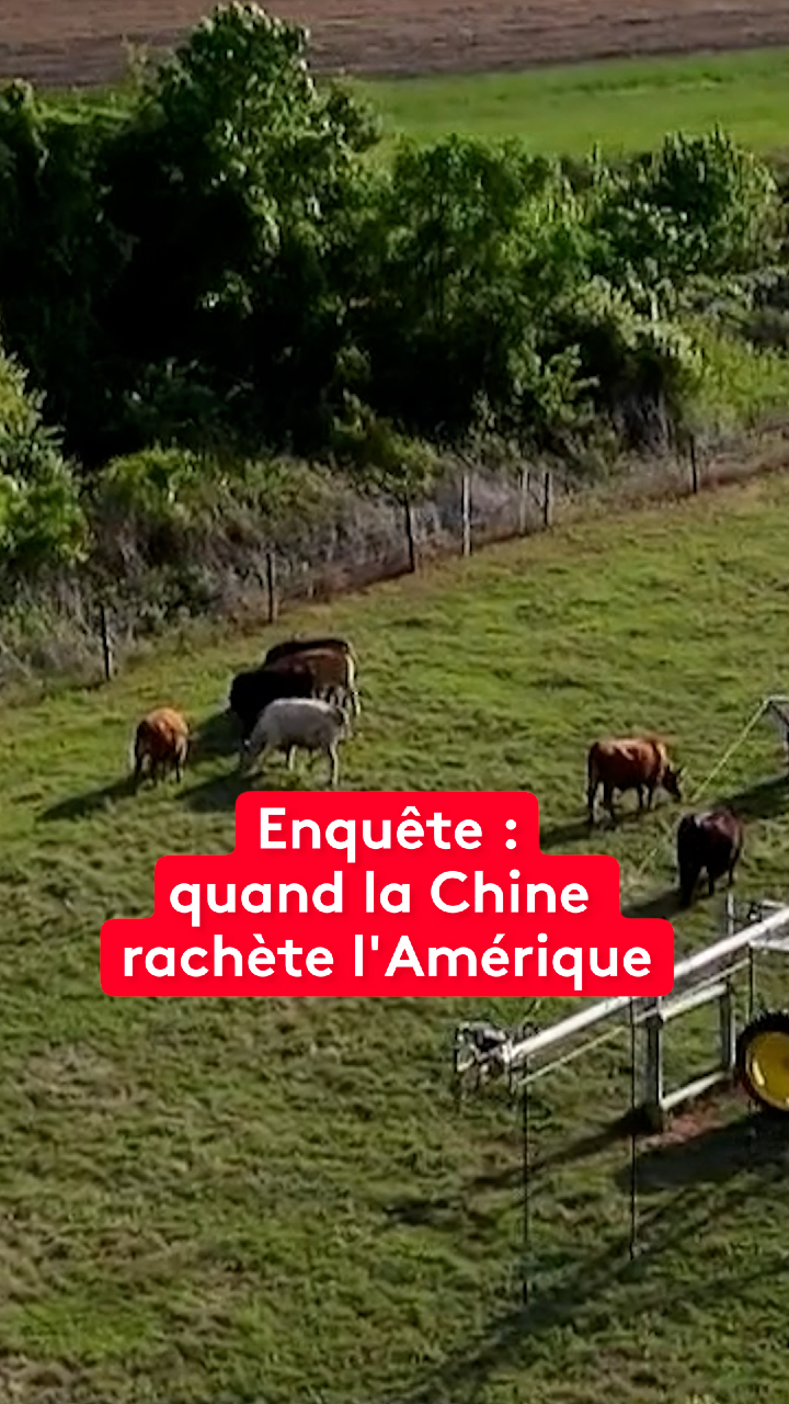 @le20hfrancetelevisions