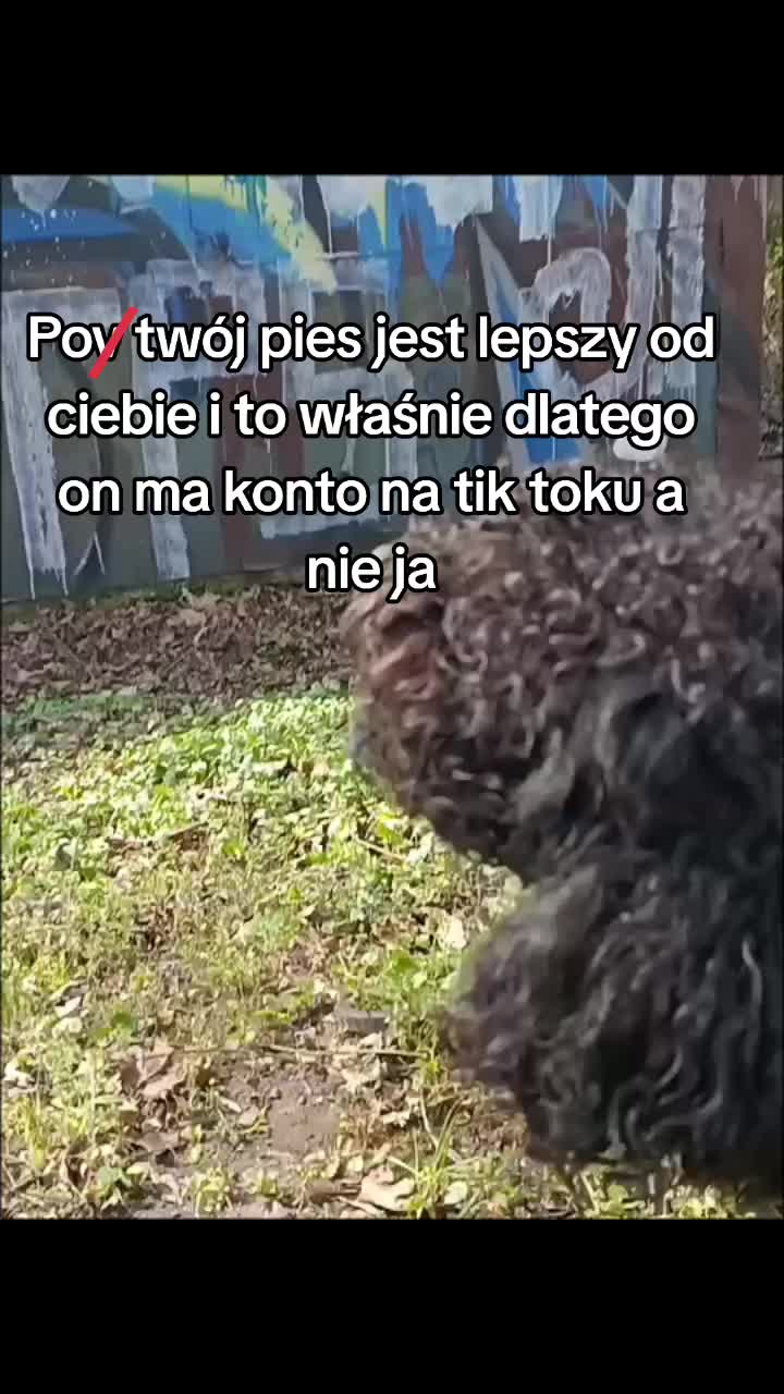 @🔥💯zvziaa_horse💯🔥