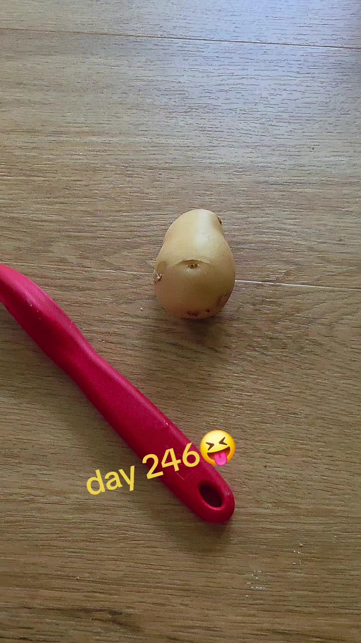 @OneTaterGirl🥔