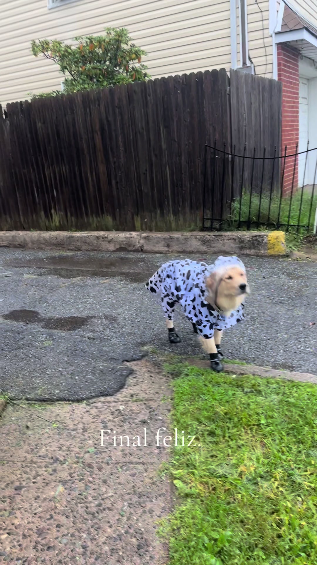@Thebestgoldenlife