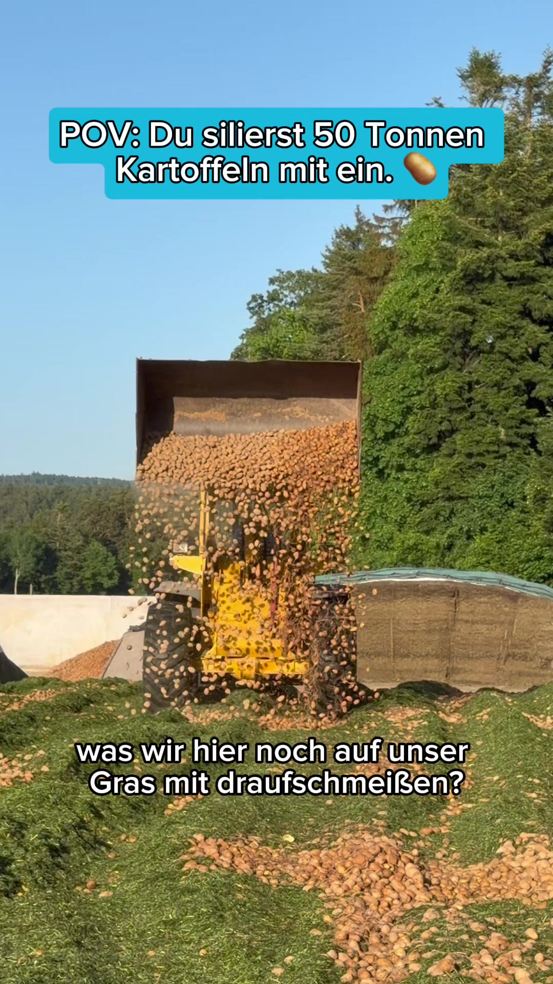 @Schwenks-Hofleben | SWR Heimat