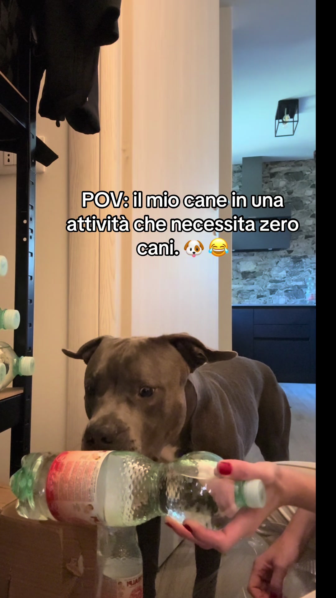 @brinaherambo🍒