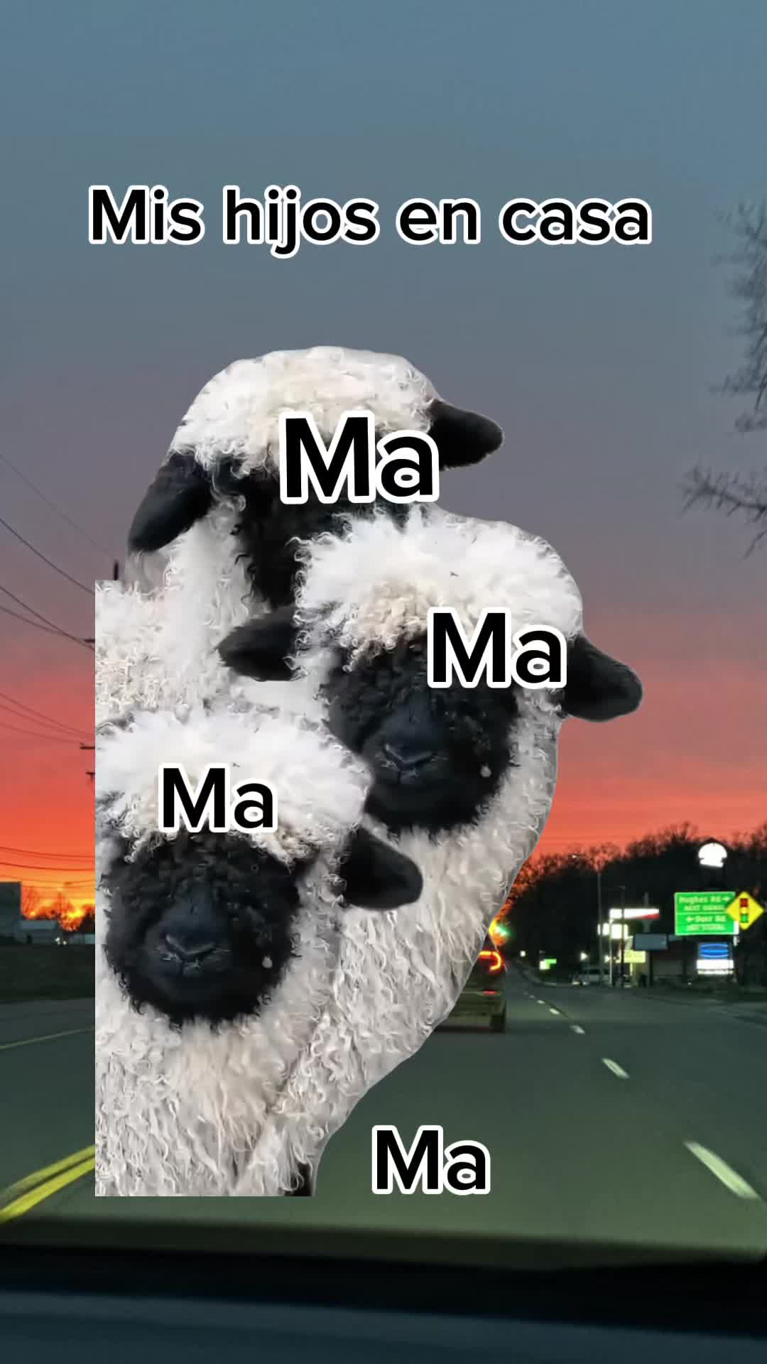 @hilda18