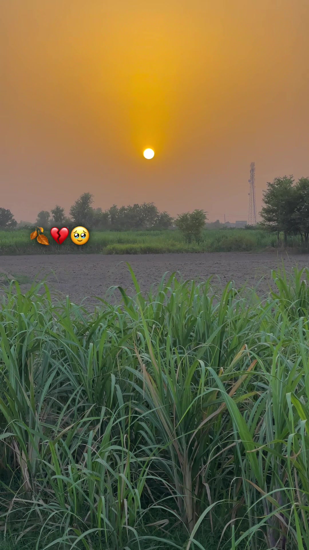 @🥀مٹی پنجاب دی🥀