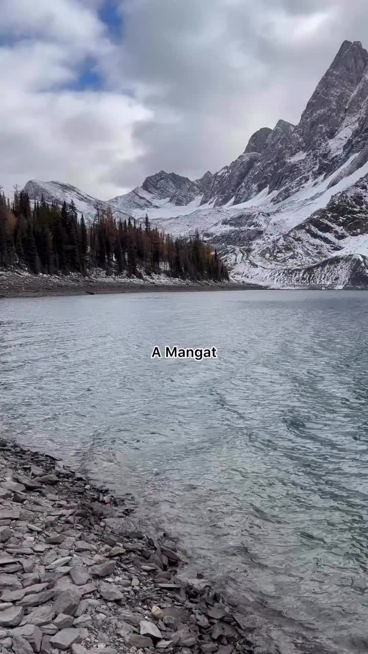 @G⃨o⃨o⃨g⃨l⃨i⃨e⃨7⃨4⃨7⃨