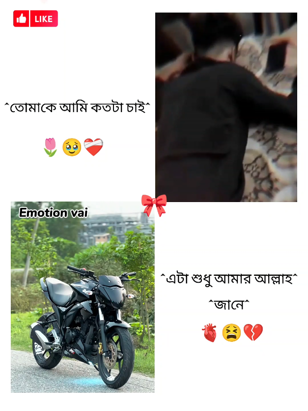 @✿BIKE LOVER✿