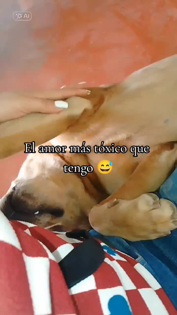 @Marlie Parra