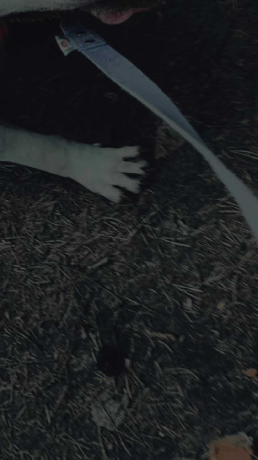 @đĽđđđĽđĽđđ âđđđ đ˝âđđĽ