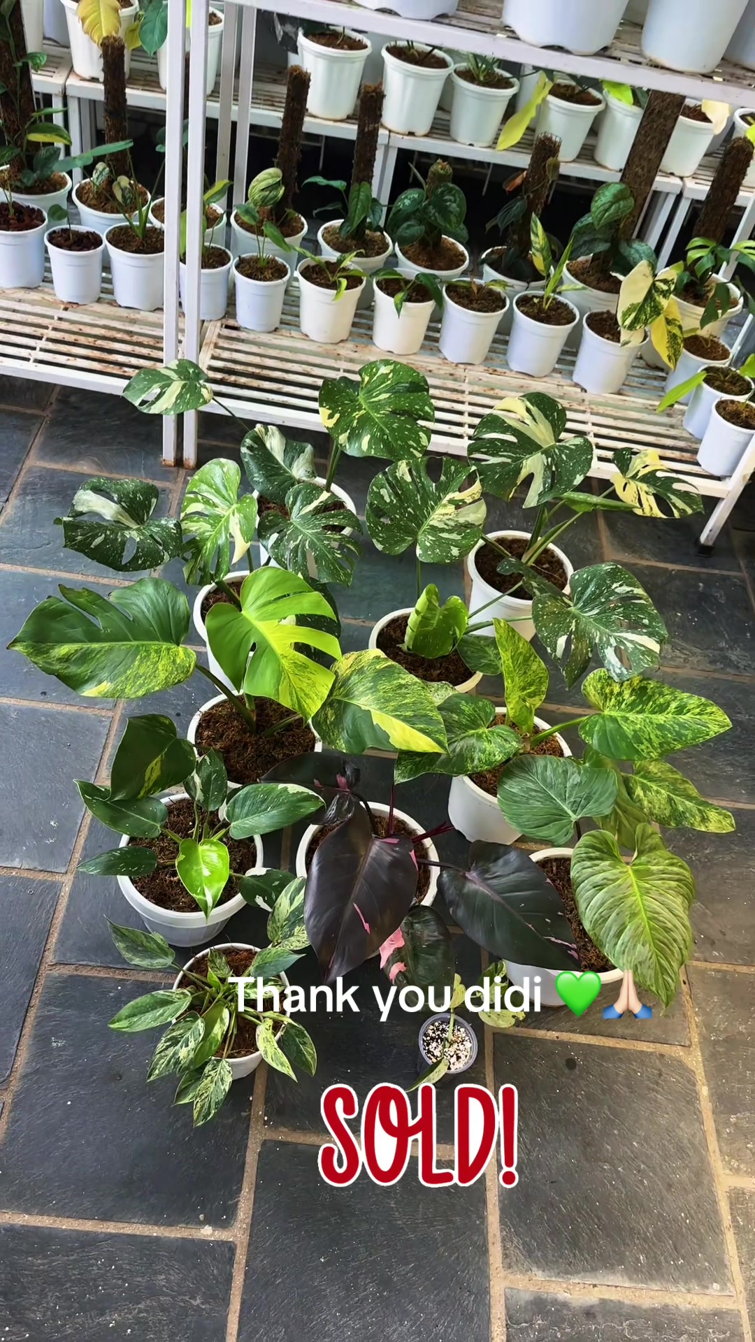 @Plantlife50
