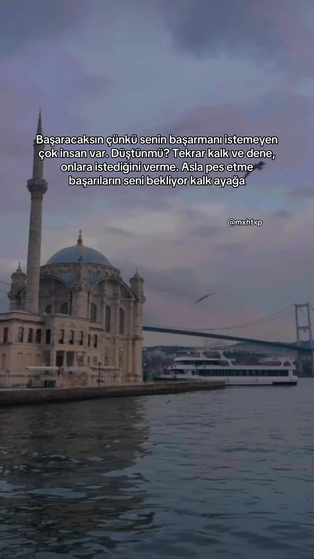 @MehtapTek🇹🇷