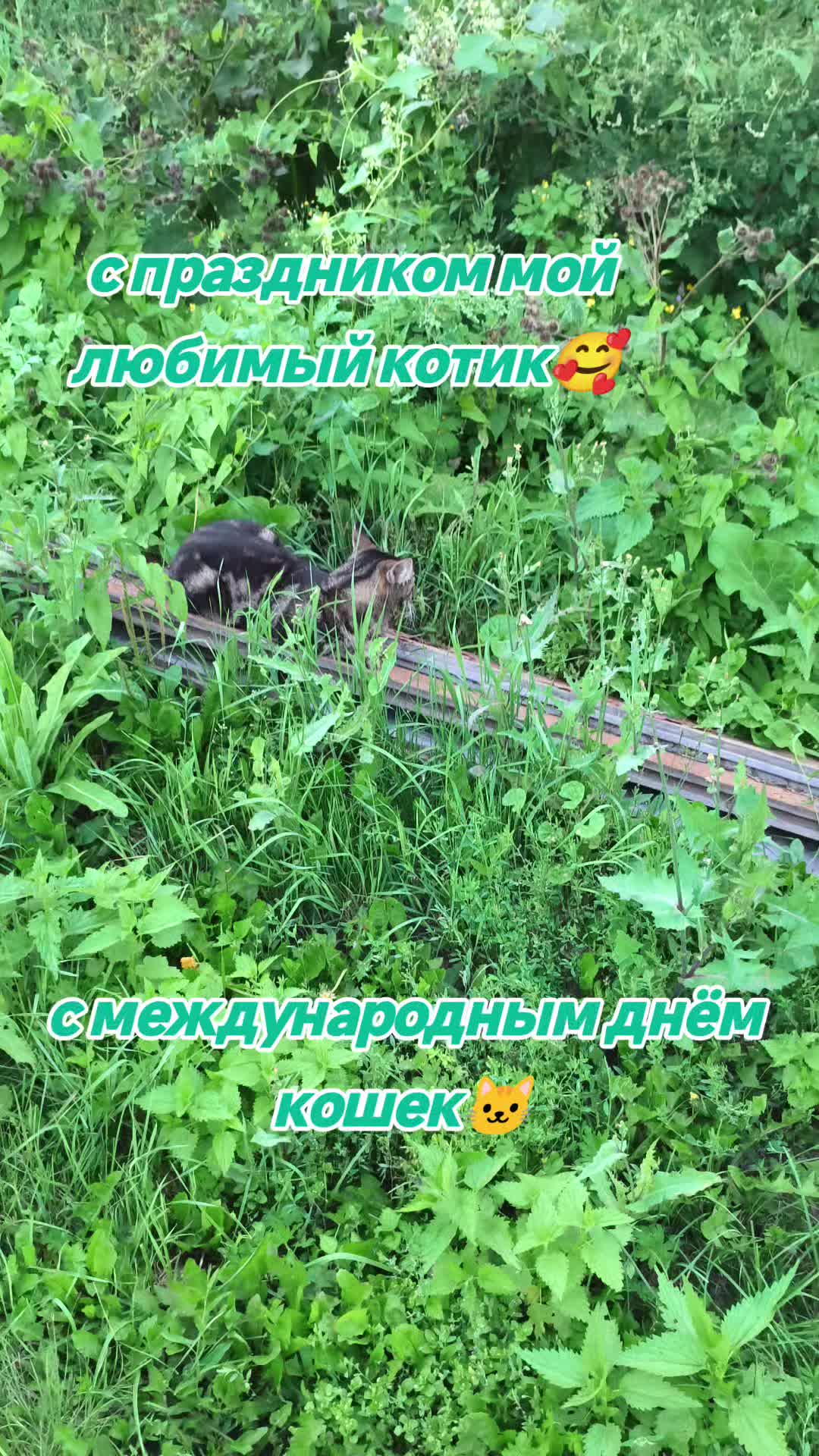 @Ольга🌷