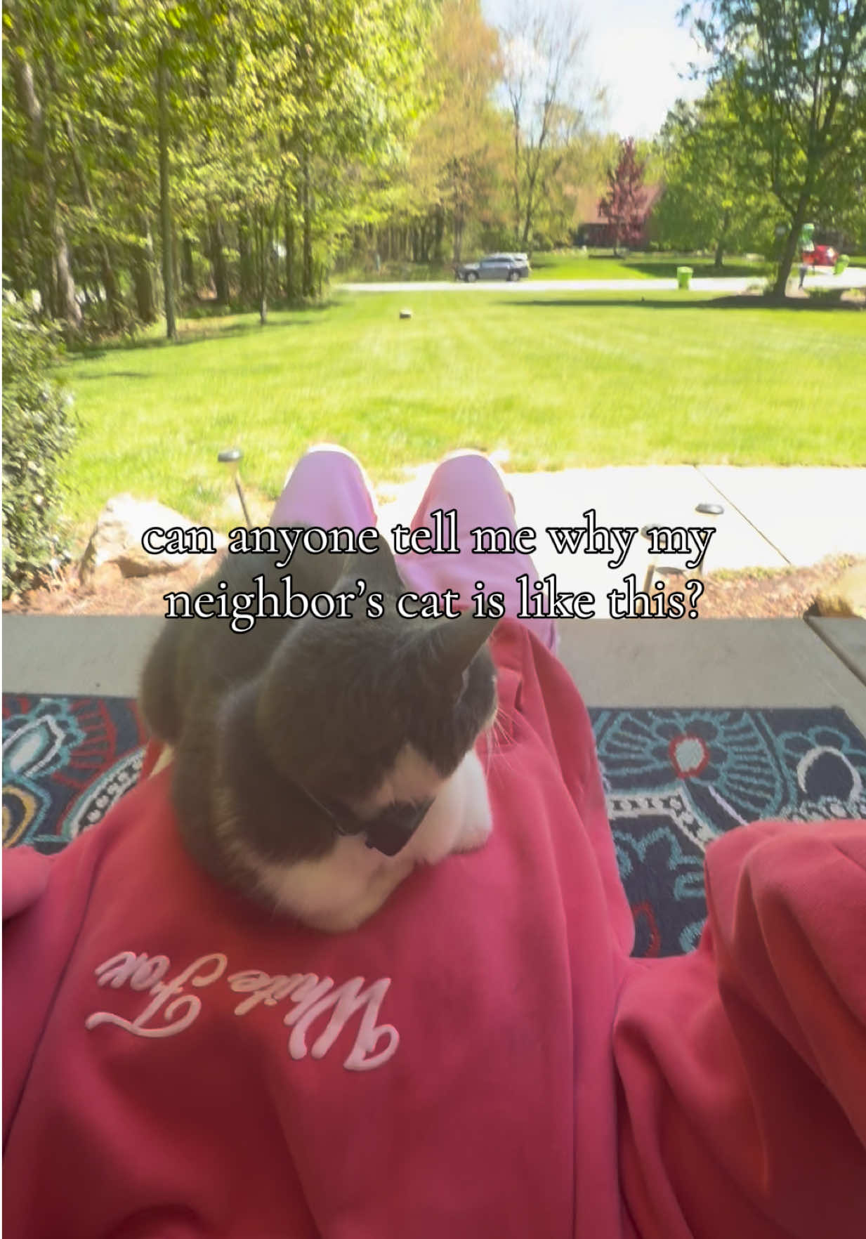 @swiftiemom1387