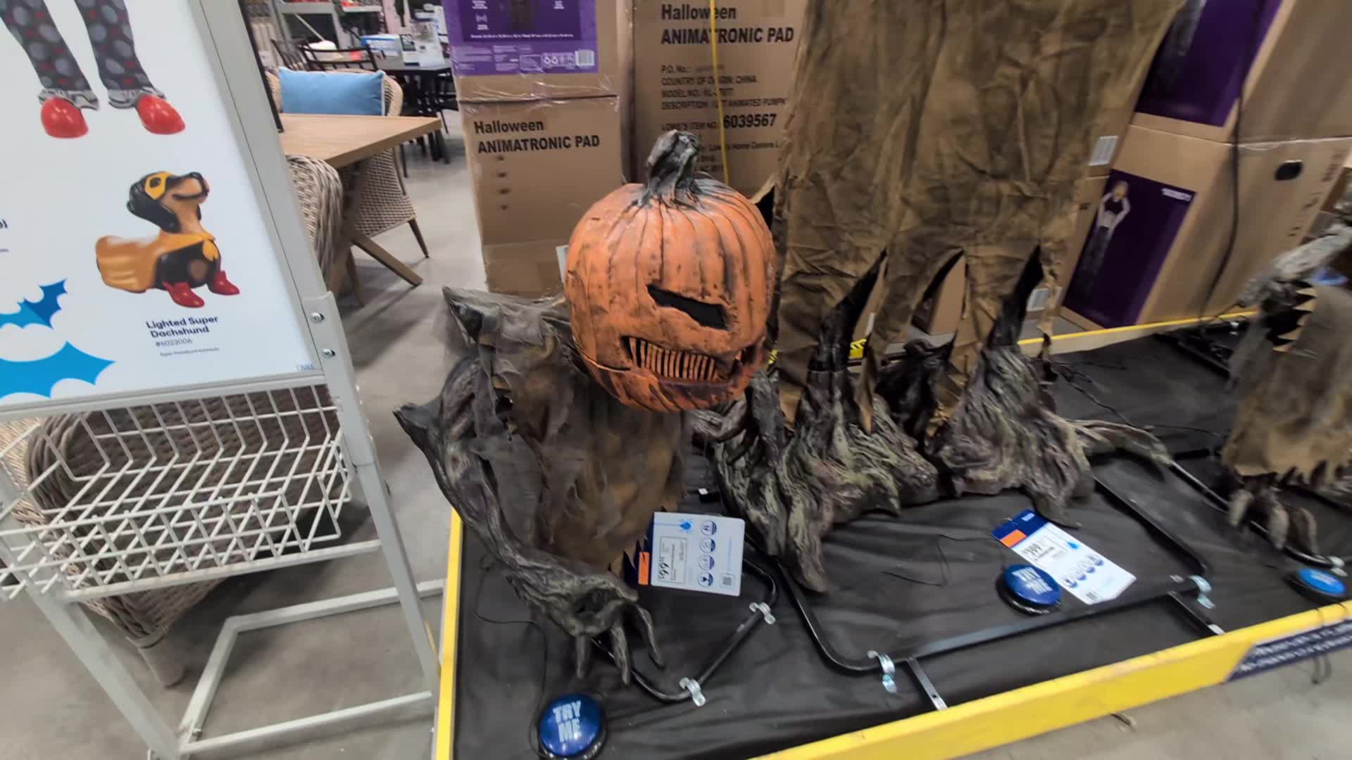 @FilthyPumpkin