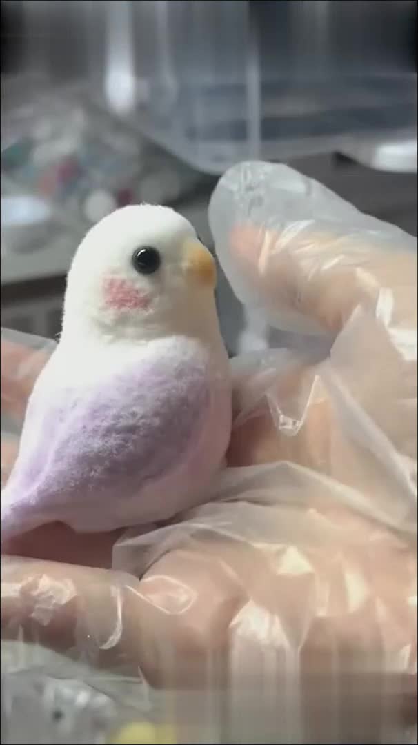 @yukiw.41