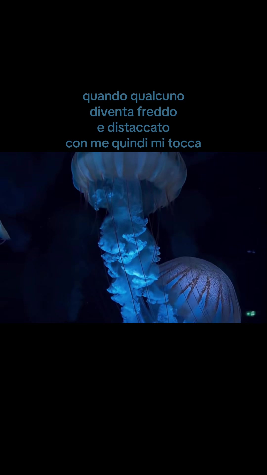 @ᵐᵃʳᵗᵃ