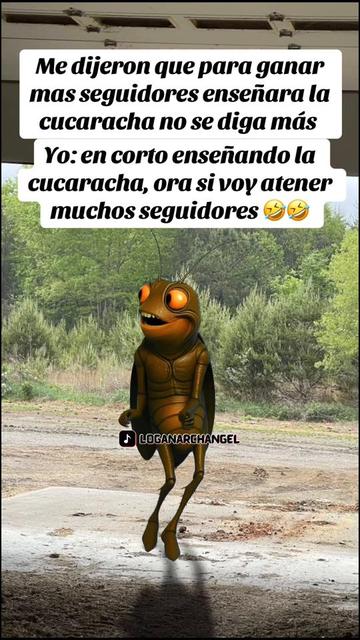 @Josefina Castañeda