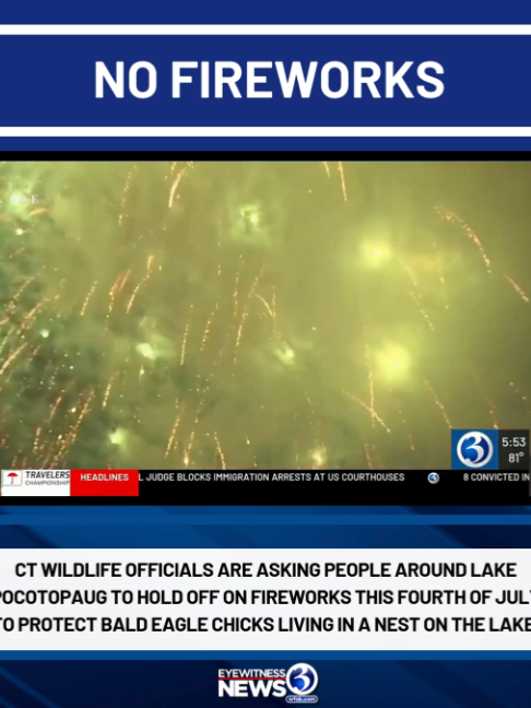 @wfsbnews
