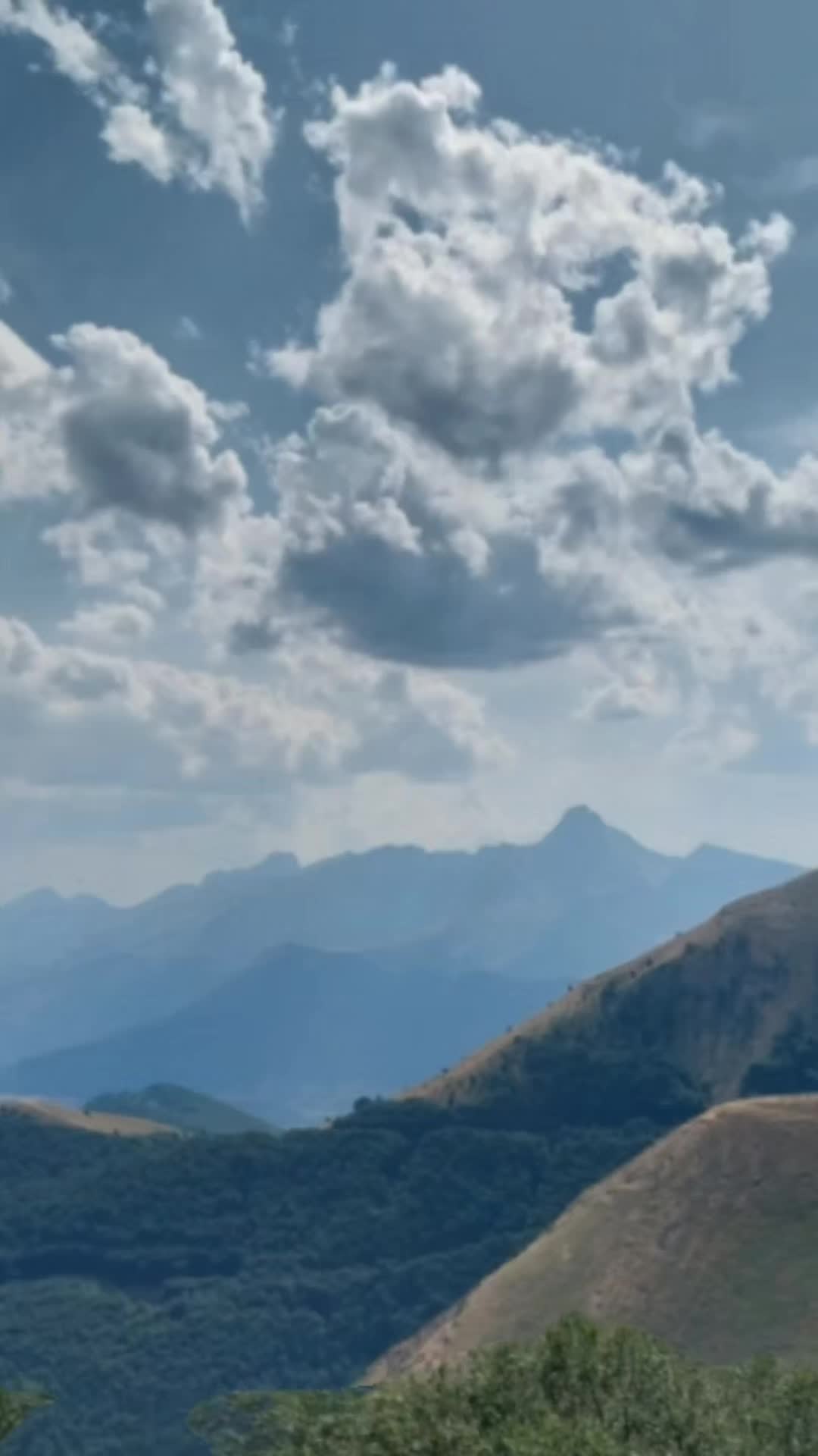 @wolfthebest