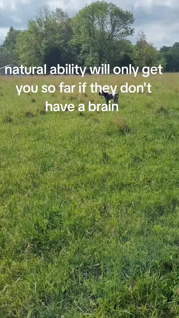 @Jeff