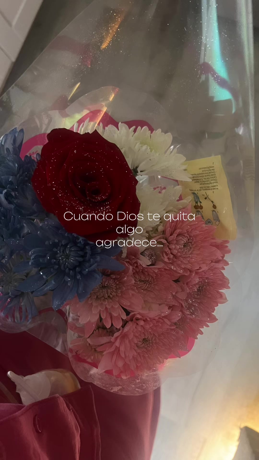 @Daraly Ramirez
