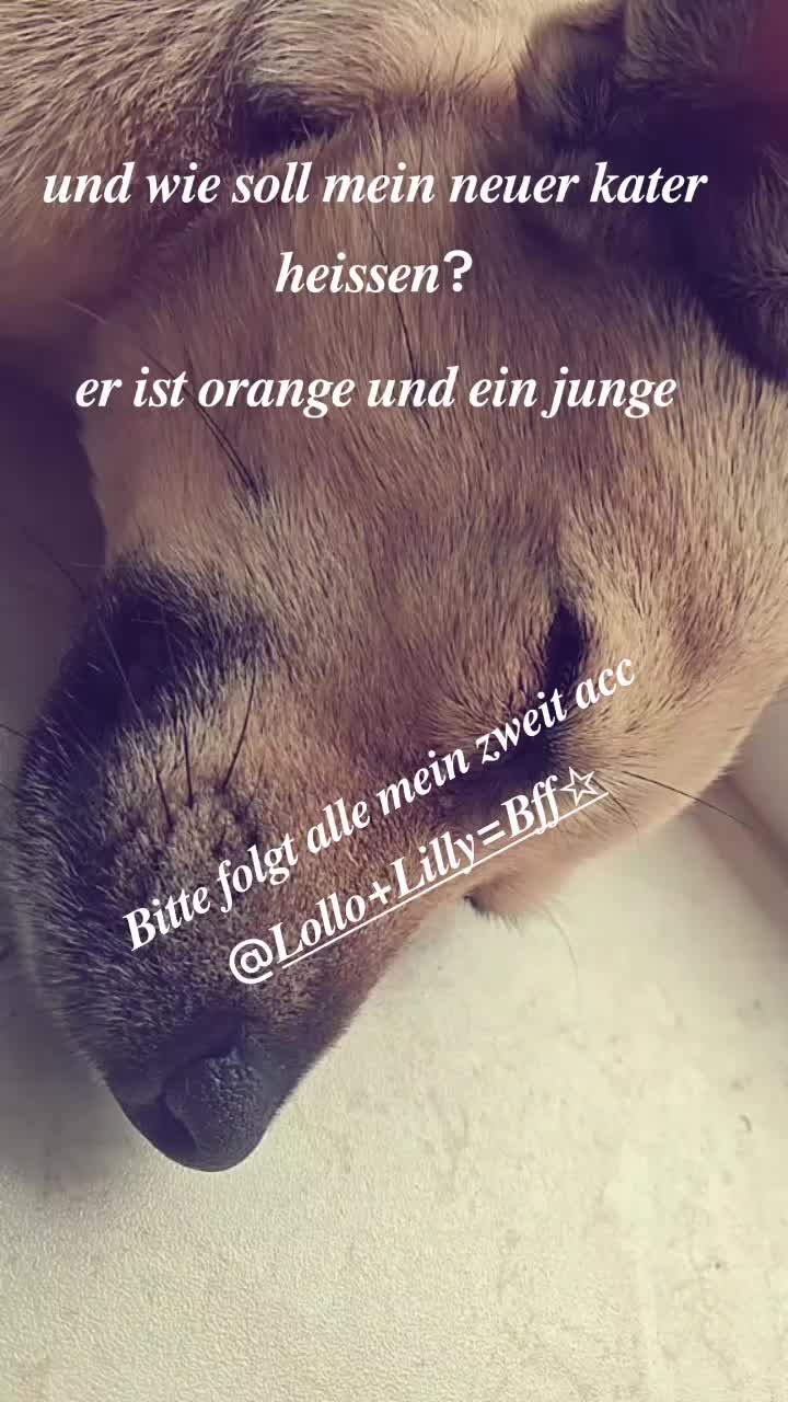 @๐ฐ๐๐๐_๐๐๐๐๐๐๐๐