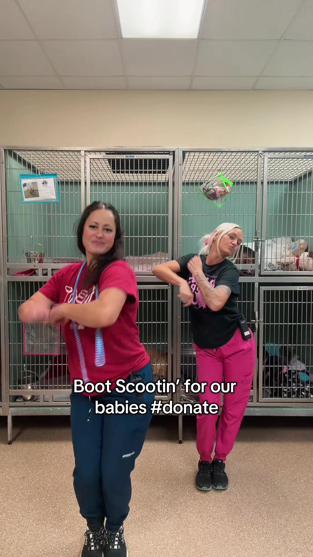 @2vettechs